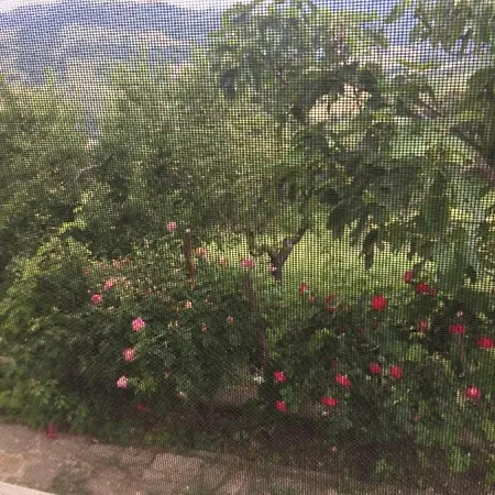 La Casa Nel